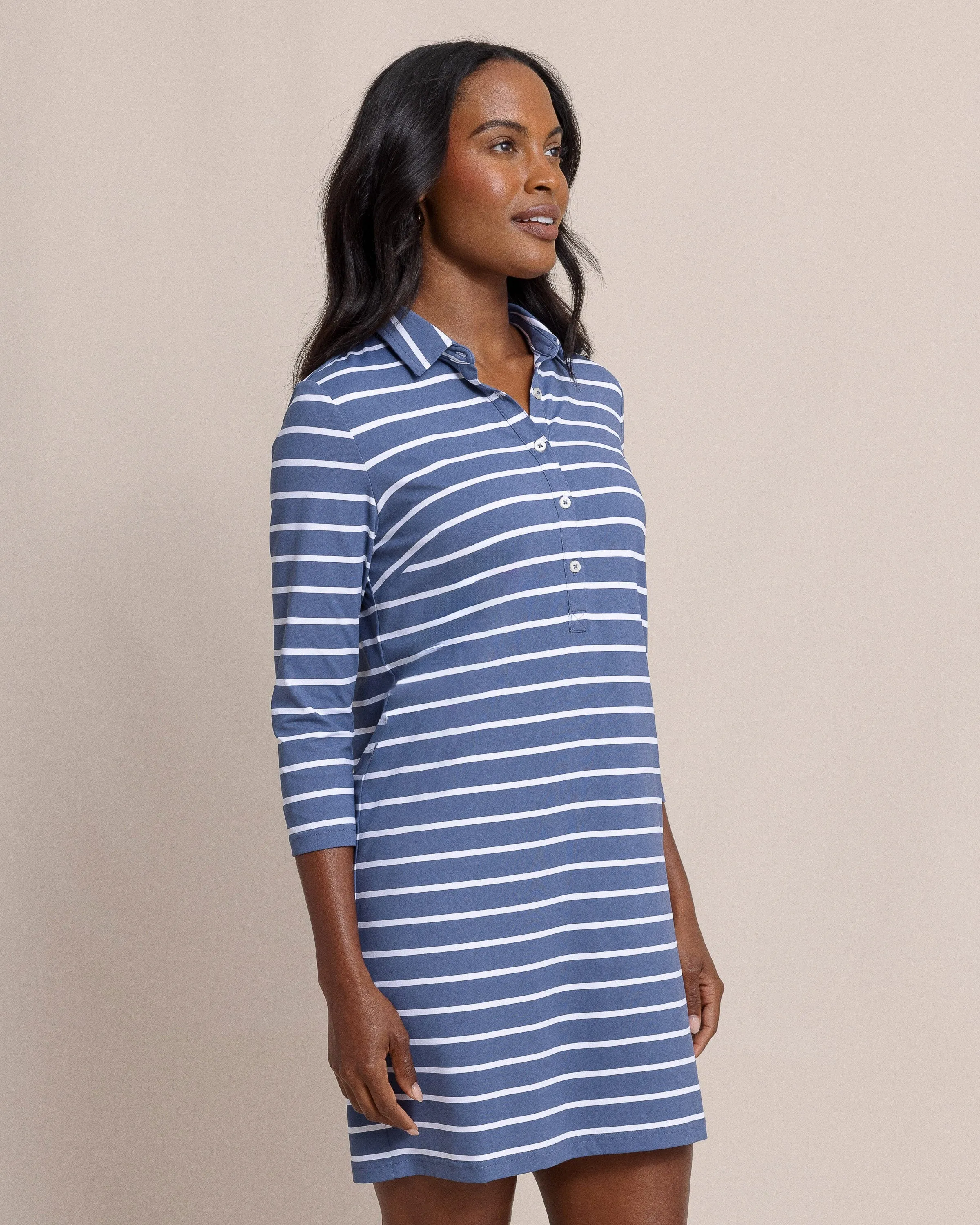 Ginny Stripe Performance Dress