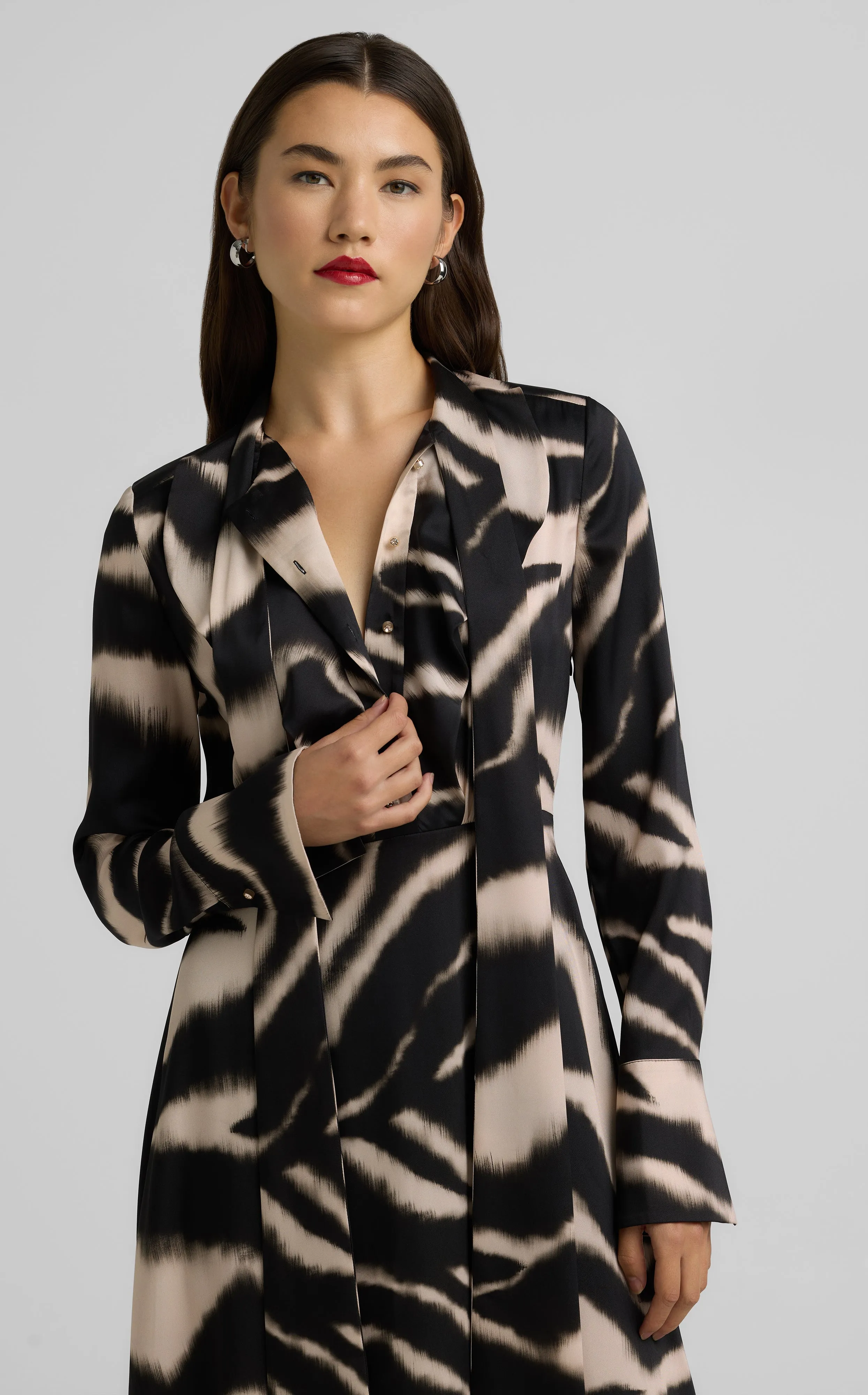 Long Sleeve Zebra Print Dress