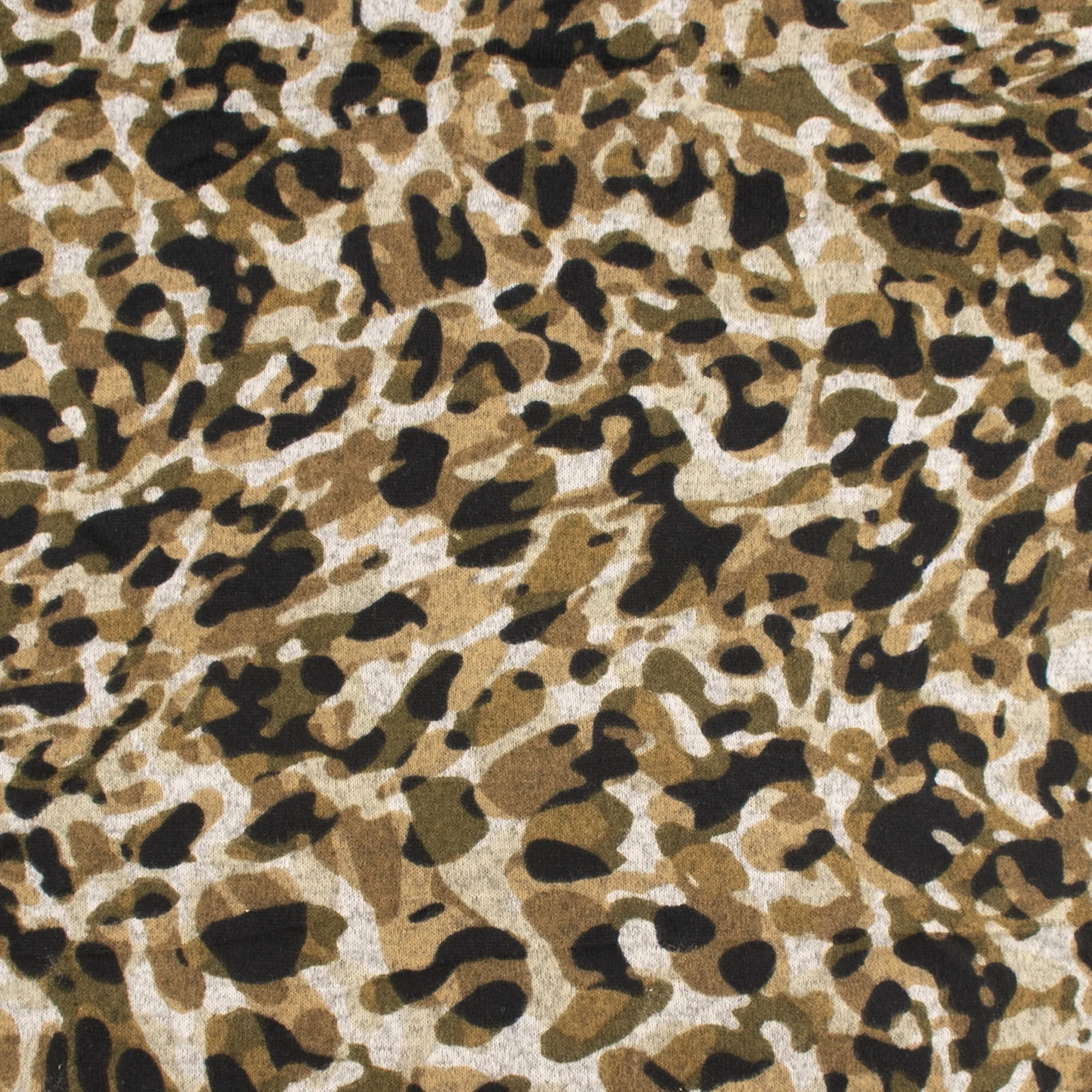 Printed Sweater Knit - HACCI - Leopards - Khaki