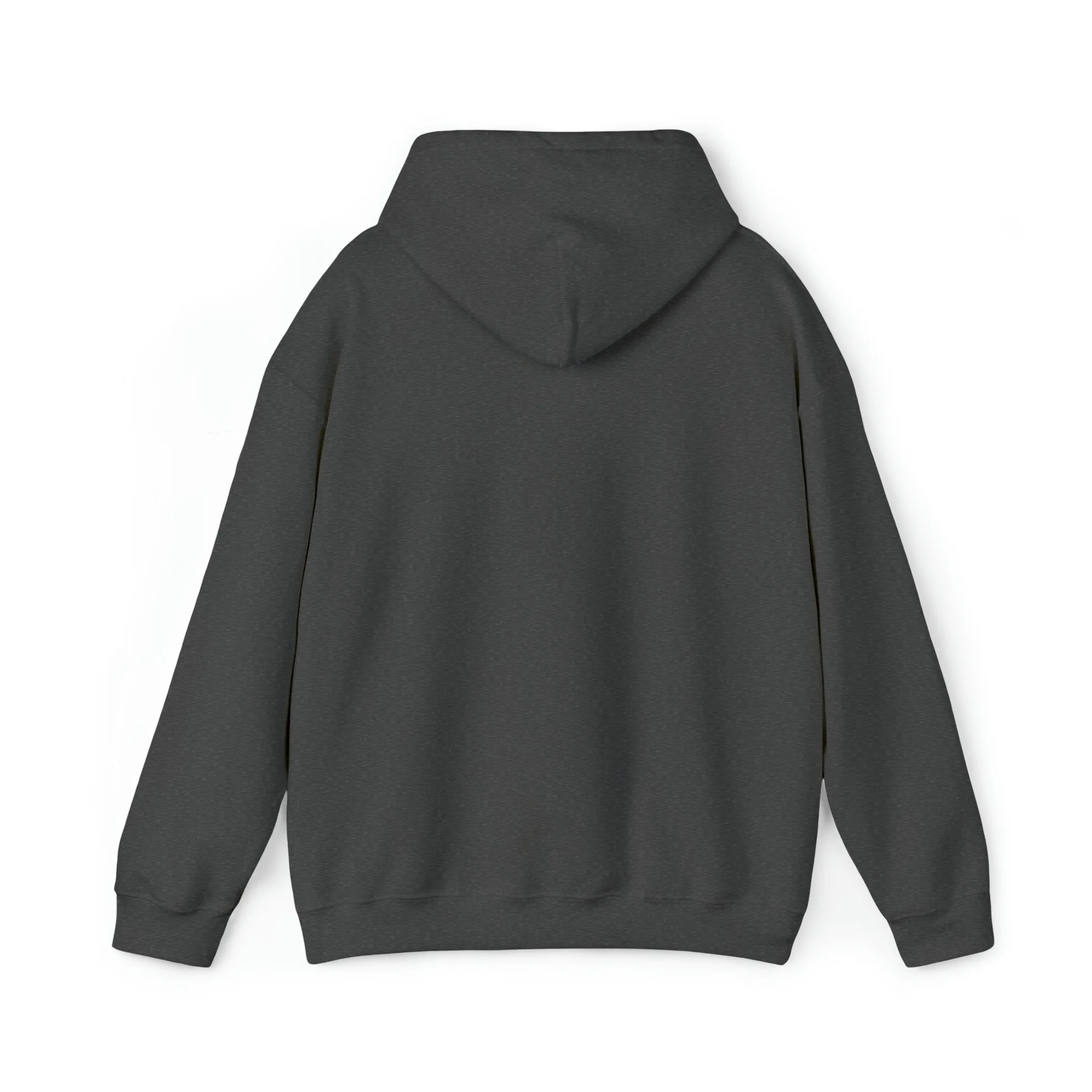 Retro Christmas Hoodie for Women 1, Aesthetic Hoodie, Preppy Hoodie, Kawaii Hoodie, Teacher Trendy Hoodie, Fall Sorority Hoodie Retro Hoodie
