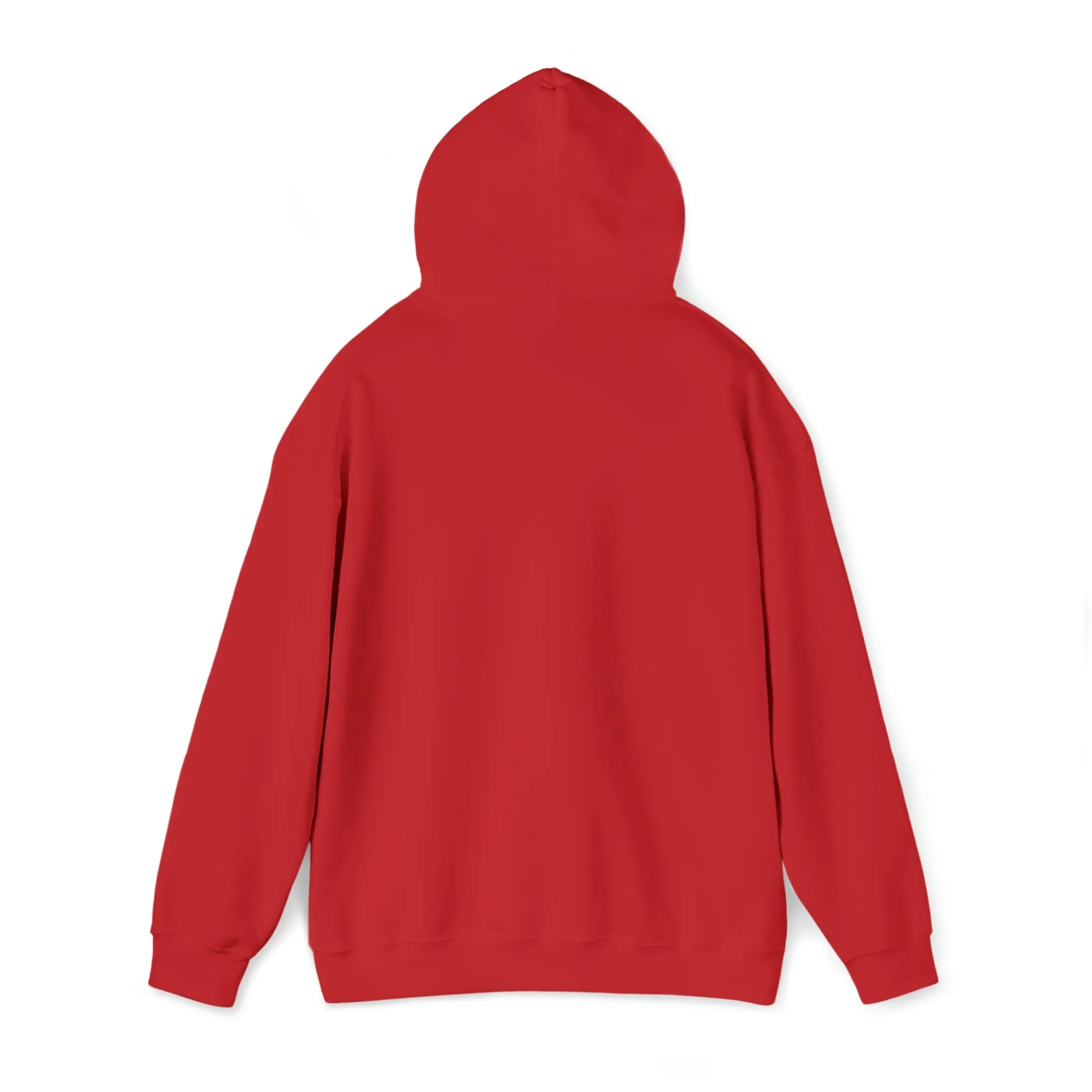 Retro Christmas Hoodie for Women 1, Aesthetic Hoodie, Preppy Hoodie, Kawaii Hoodie, Teacher Trendy Hoodie, Fall Sorority Hoodie Retro Hoodie