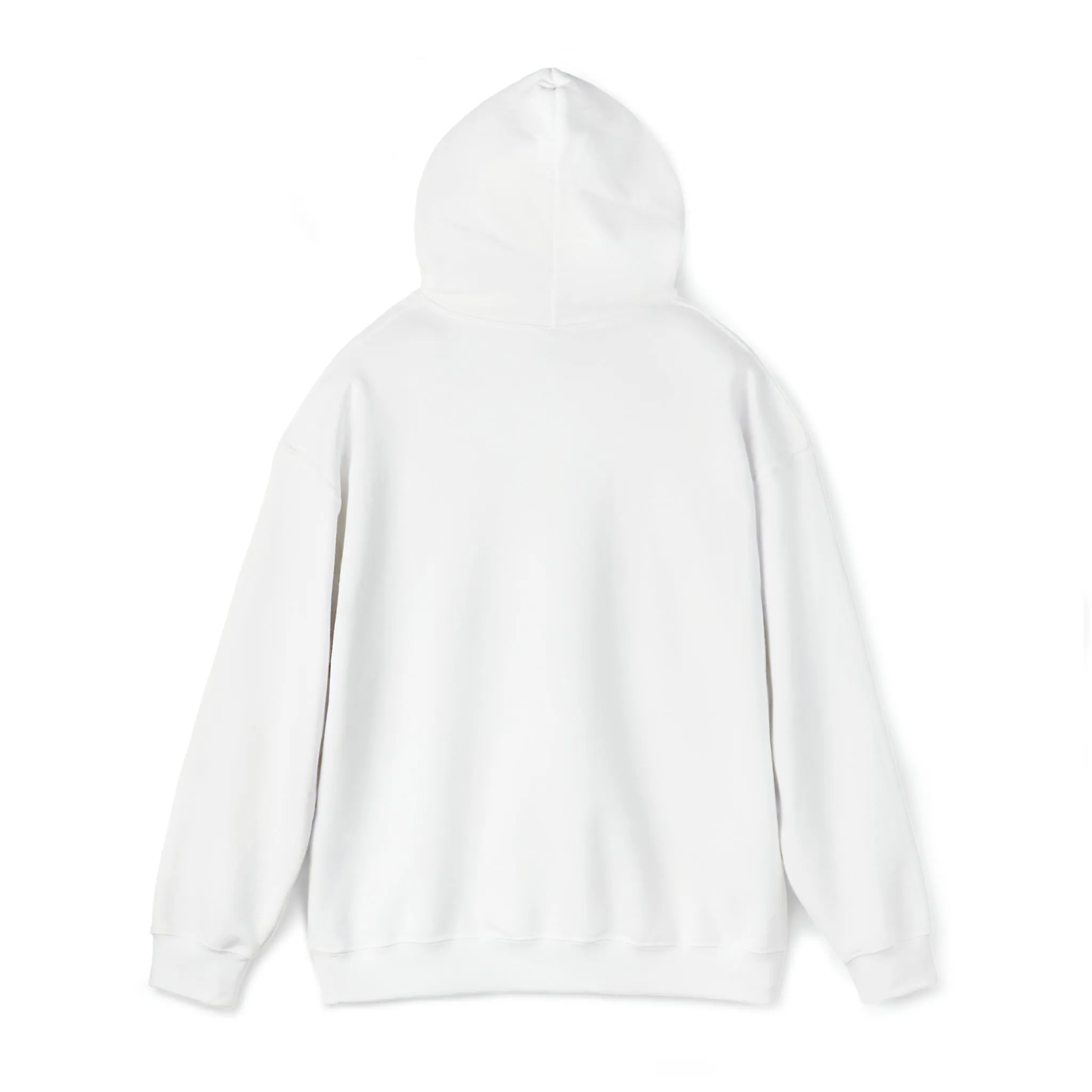 Retro Christmas Hoodie for Women 1, Aesthetic Hoodie, Preppy Hoodie, Kawaii Hoodie, Teacher Trendy Hoodie, Fall Sorority Hoodie Retro Hoodie